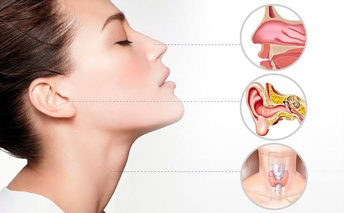 ENT (Nose, Ear & Throat) Operations